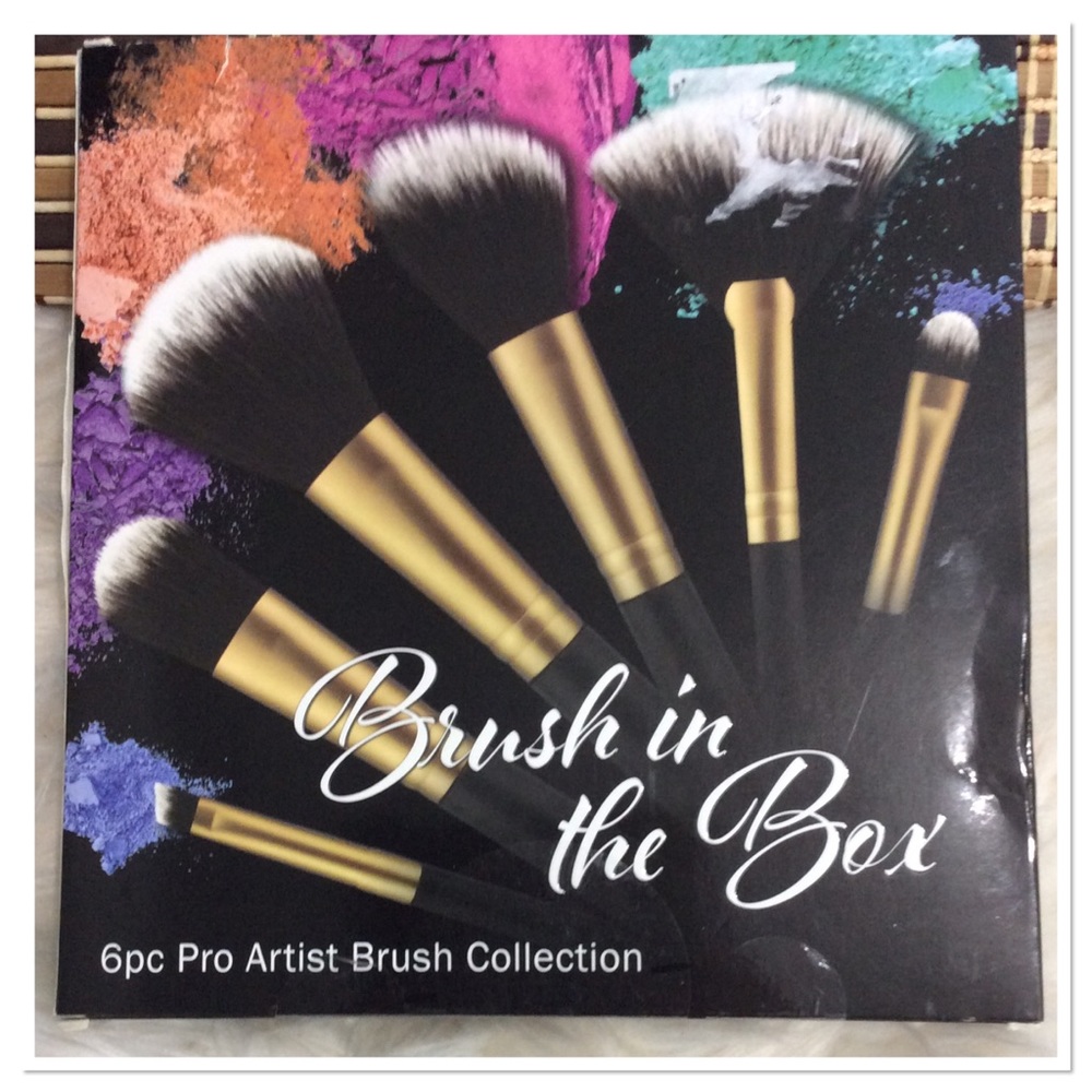 6pc Professional Brush Set